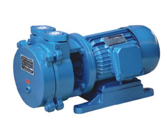 SK系列直聯(lián)水環(huán)式真空泵